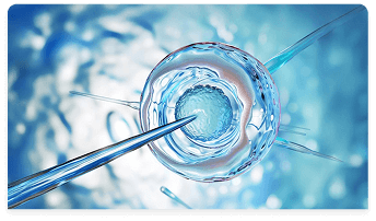 Comprehensive Health Checkup