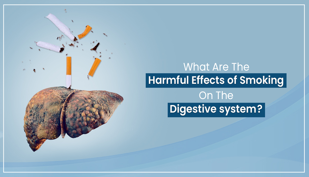 What are the harmful effects of smoking on the digestive system