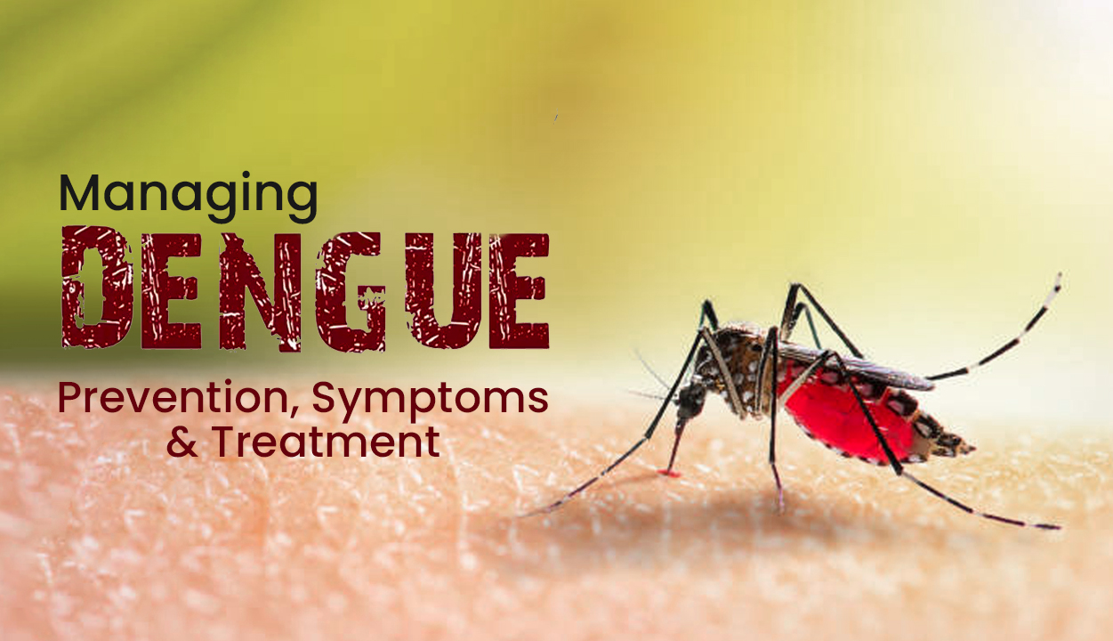 Managing-Dengue-Prevention-Symptoms-and-Treatment
