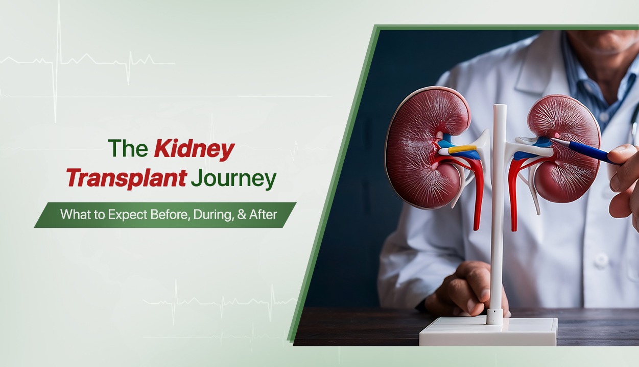 The Kidney Transplant Journey: What to Expect Before, During, & After