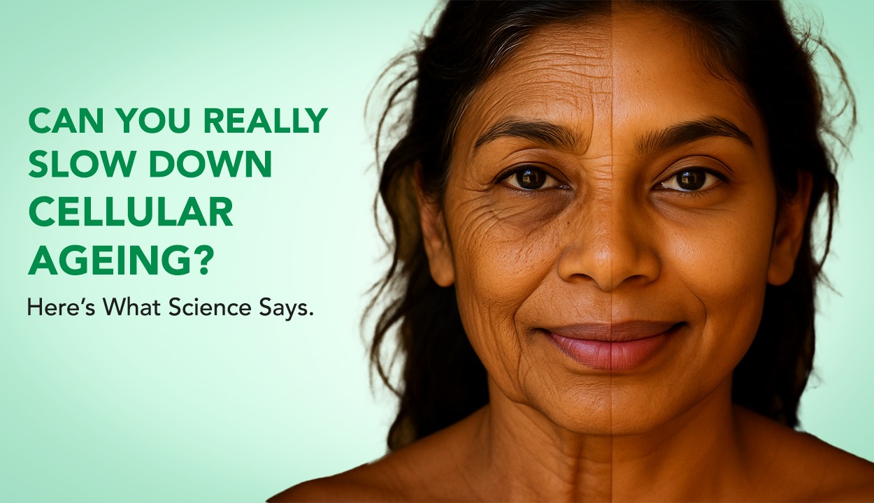 Can You Really Slow Down Cellular Ageing?  Here’s What Science Says.