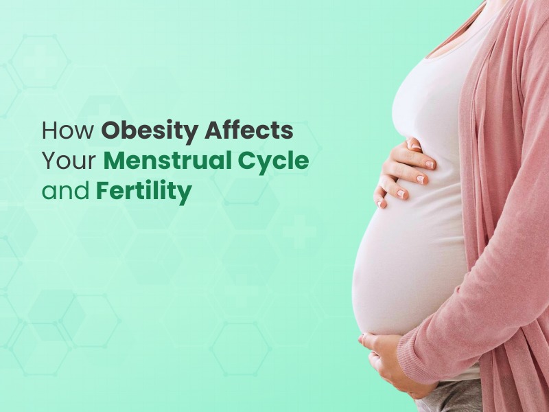 How Obesity Affects Your Menstrual Cycle and Fertility