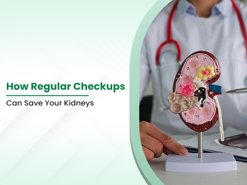 How Regular Checkups Can Save Your Kidneys