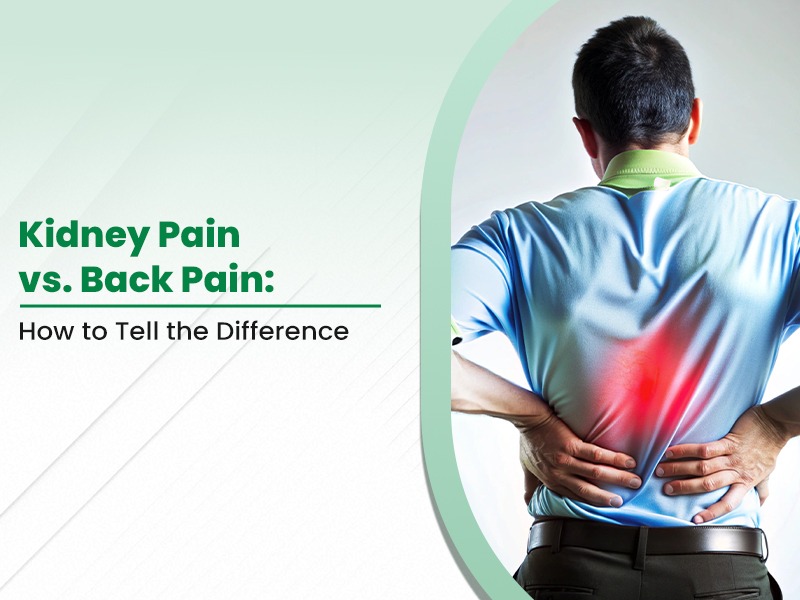 Kidney Pain vs. Back Pain: How to Tell the Difference