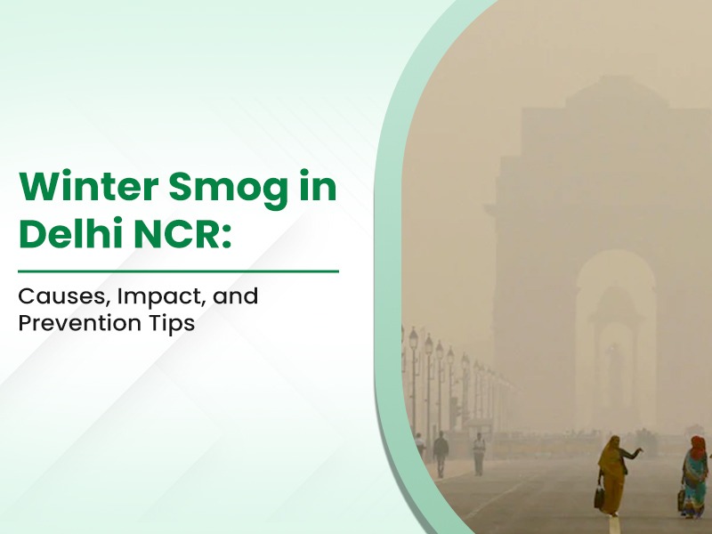 Winter Smog in Delhi NCR: Causes, Impact, and Prevention Tips