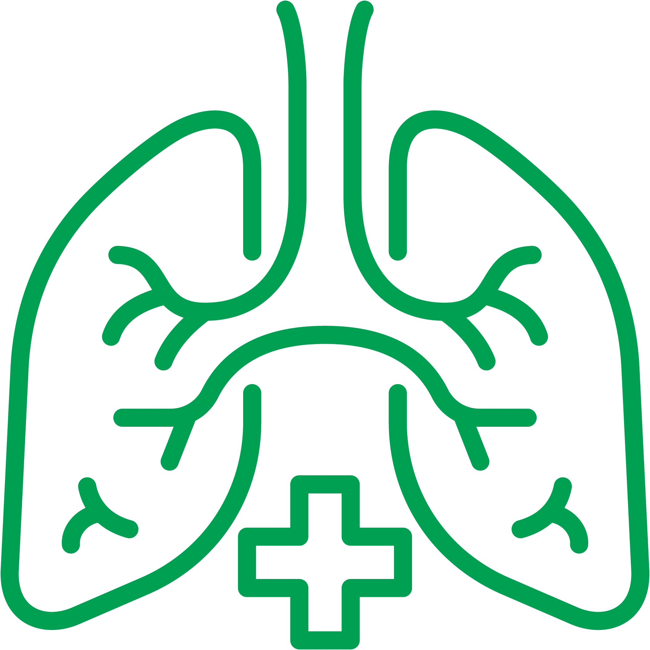 Pulmonology & Sleep Medicine