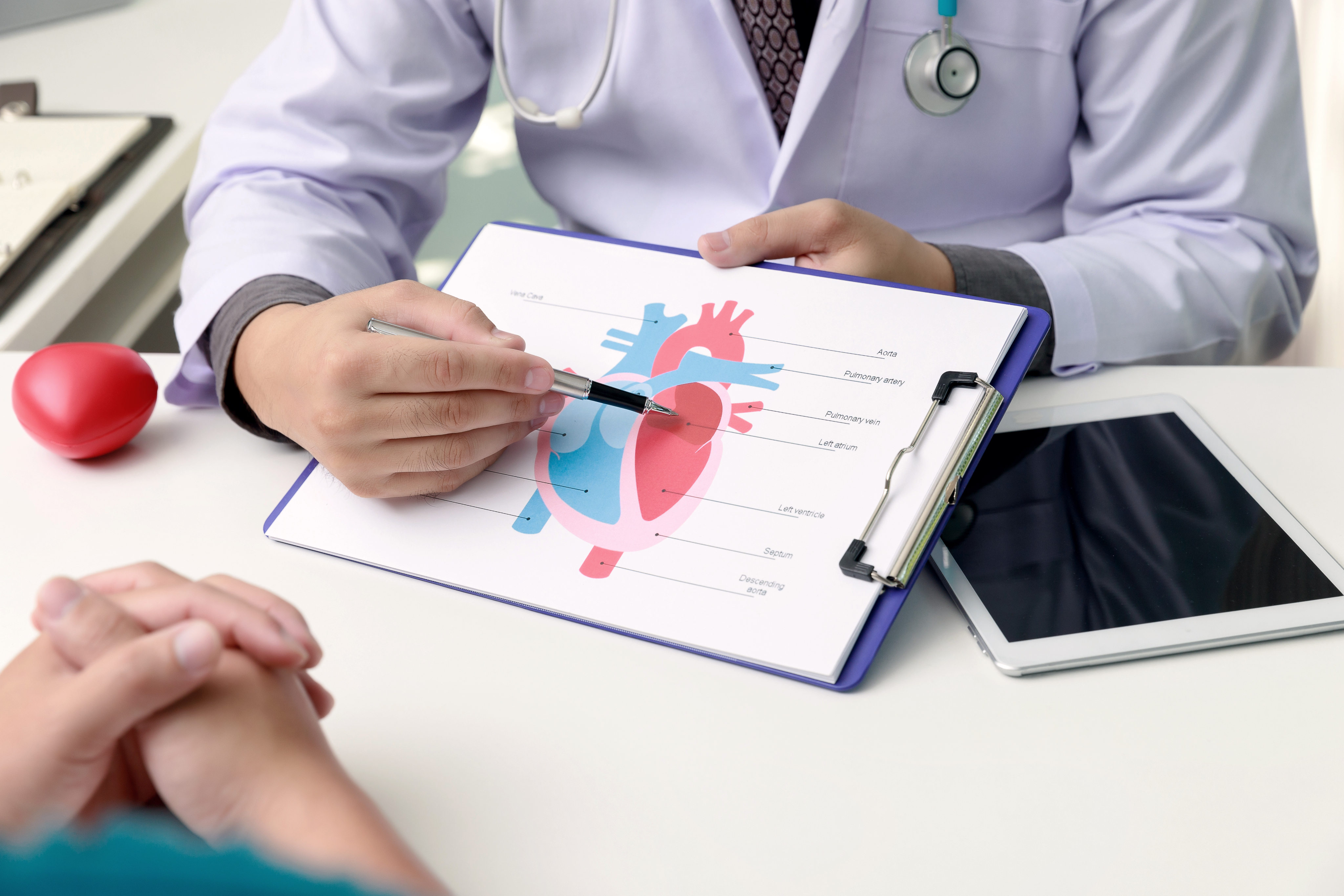 HEART CHECK-UP (II)
